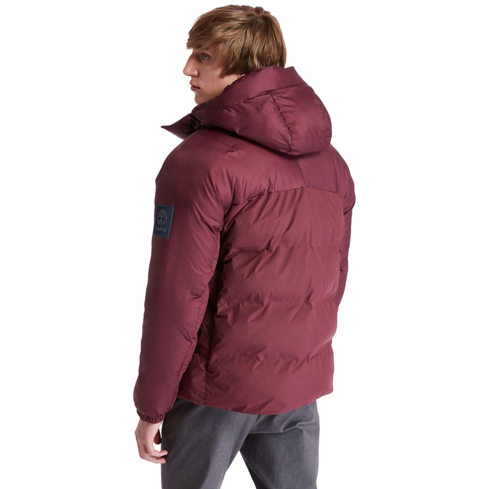 Timberland Mens Jackets Neo Summit Hooded Winter - Burgundy - India ZN3598427